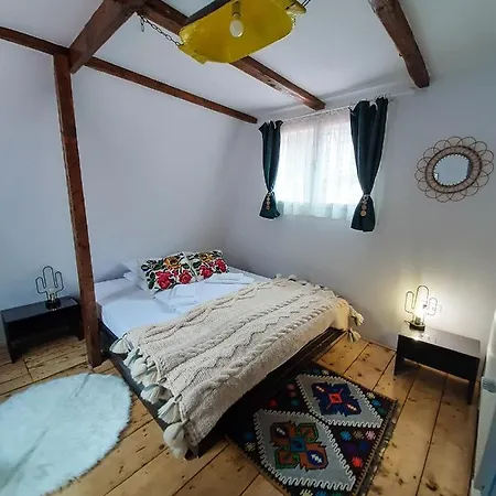 Casa Ele Holiday home Frasinet
